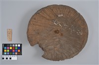 藏品(鍋蓋)的圖片